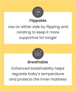Essential Airflow Pocket Spring Cotbed Mattress