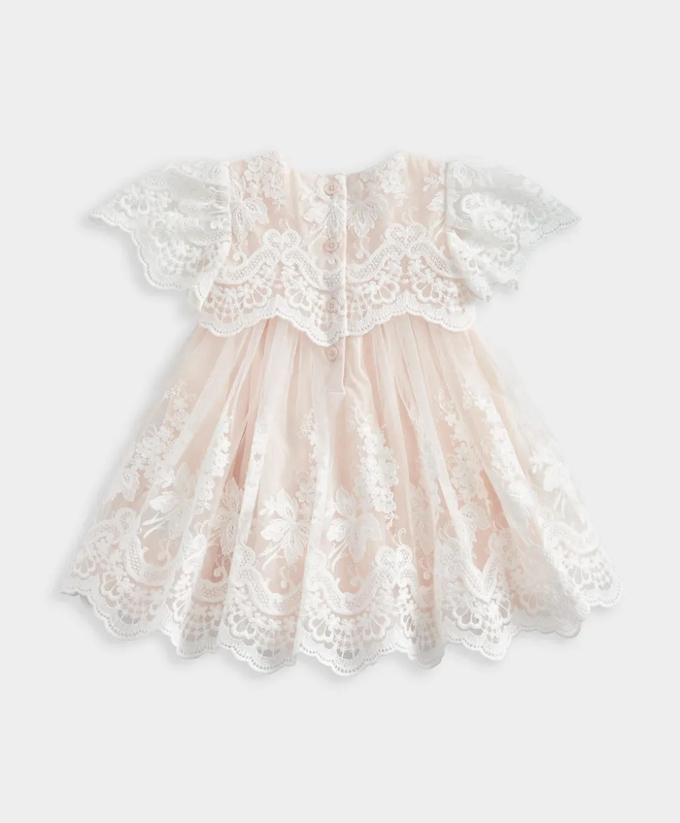 Lace Frill Sleeve Dress