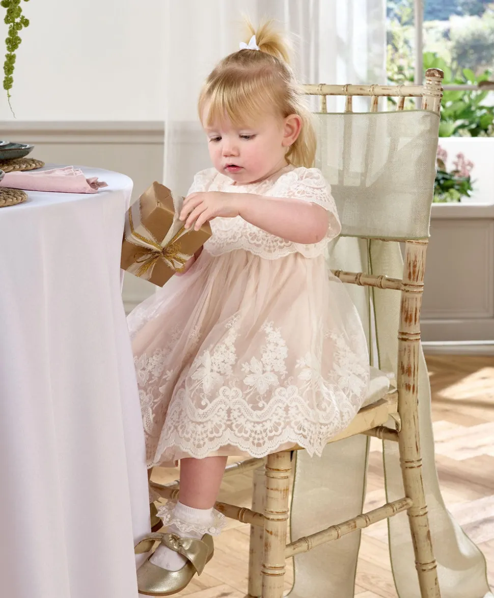 Lace Frill Sleeve Dress