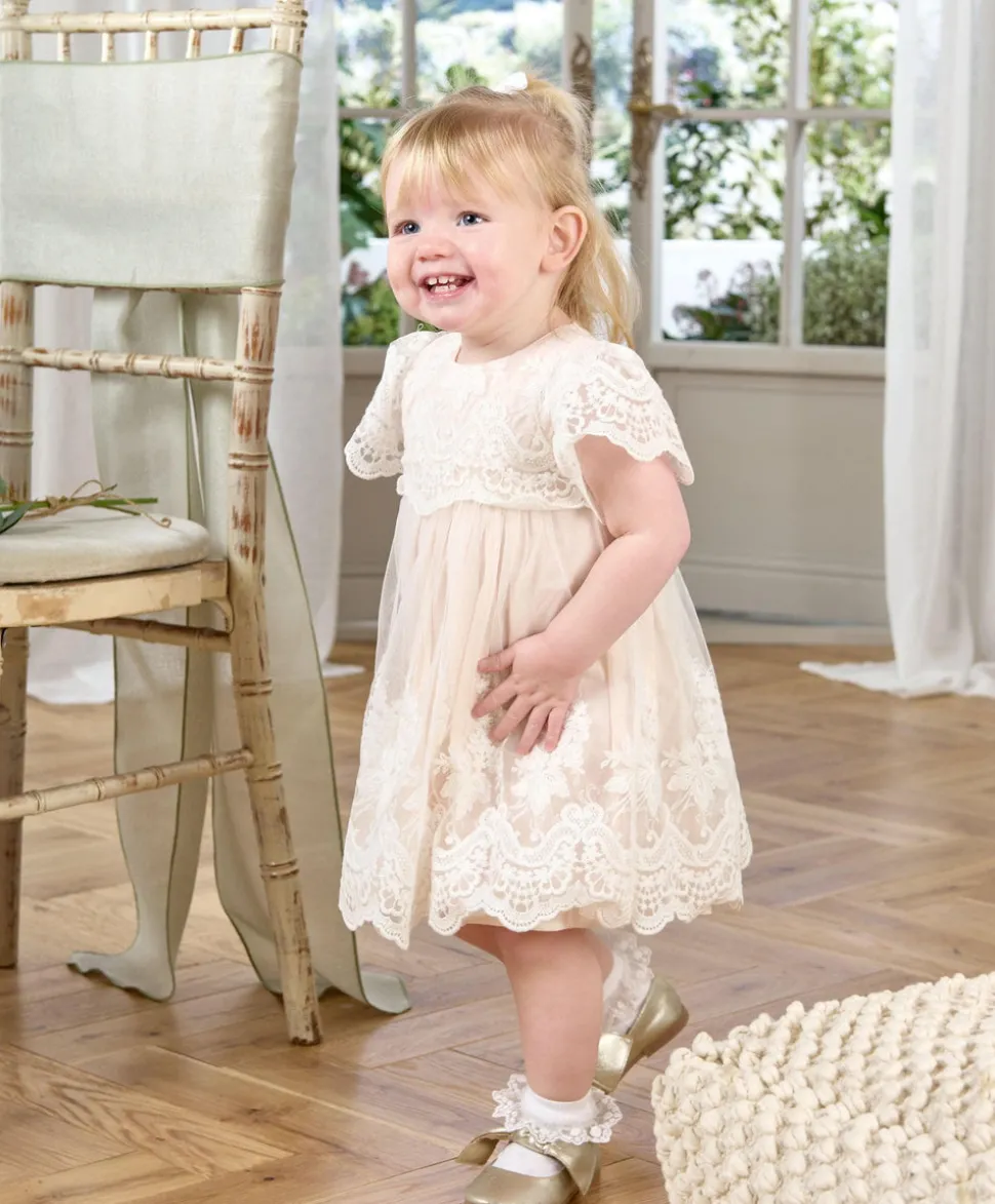 Lace Frill Sleeve Dress