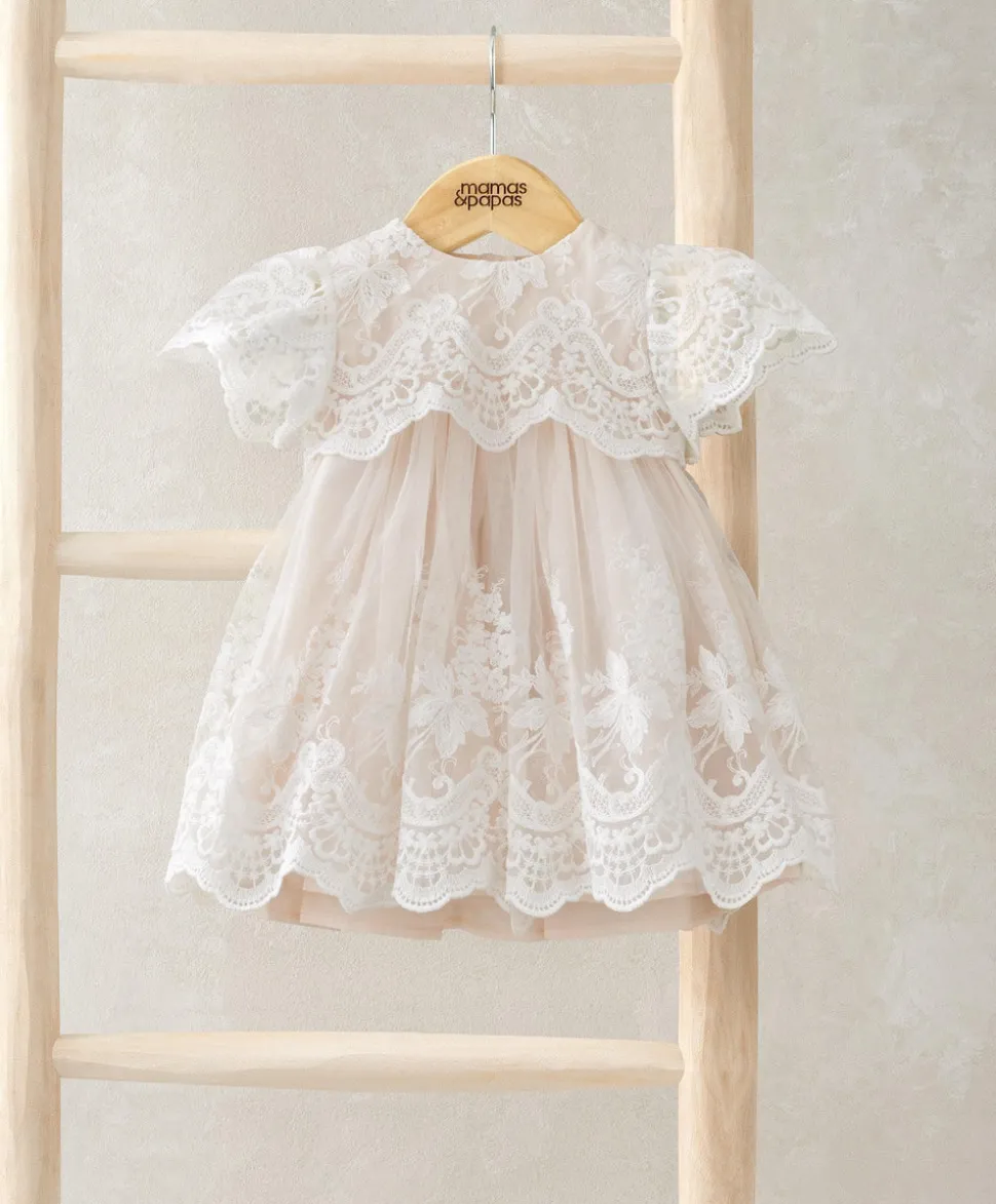 Lace Frill Sleeve Dress