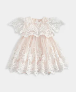 Lace Frill Sleeve Dress