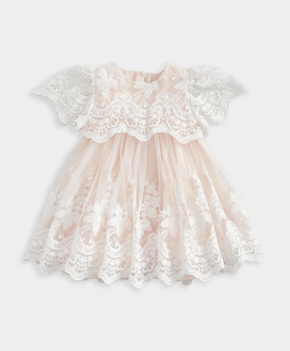 Lace Frill Sleeve Dress