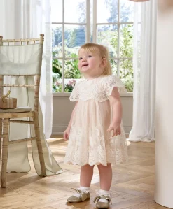 Lace Frill Sleeve Dress