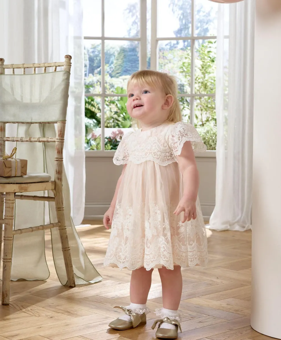 Lace Frill Sleeve Dress