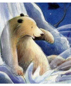 Moon and Back Board Book