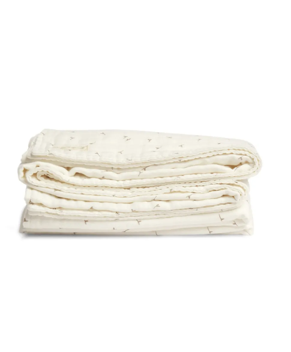 Muslin Blanket - Welcome to the World Seedling - Seed