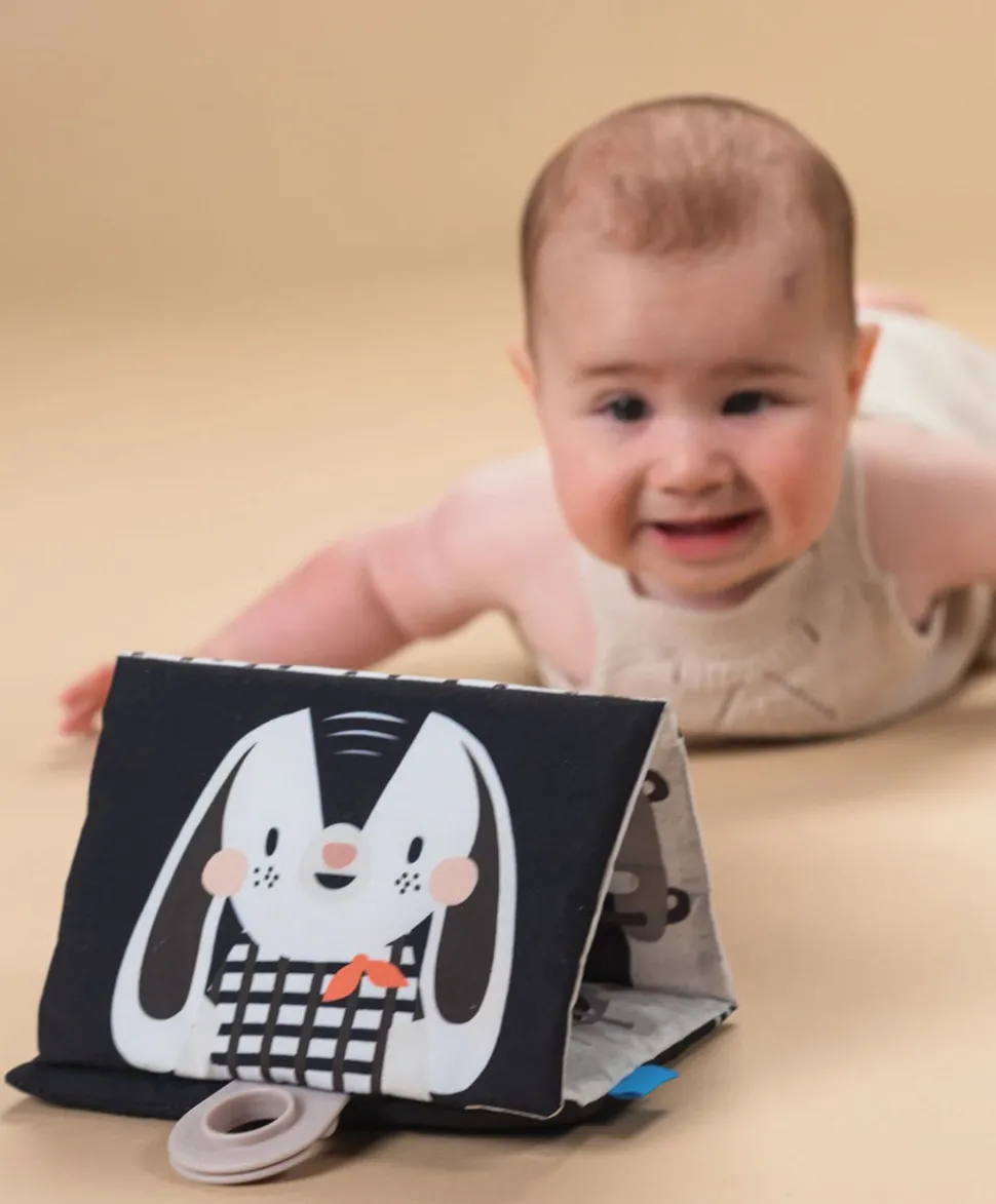 Taf Toys Black & White Newborn Kit