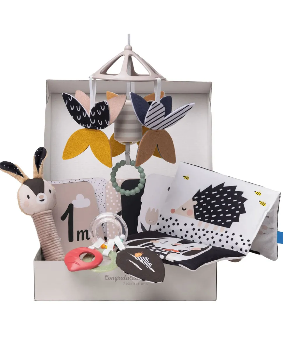 Taf Toys Black & White Newborn Kit