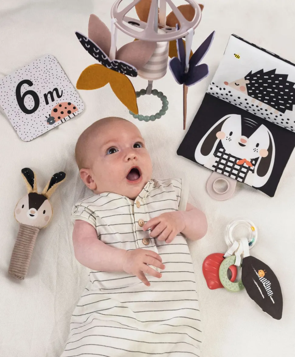 Taf Toys Black & White Newborn Kit